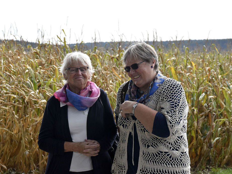 Erkundung von Heimerads Heimat Meßkirch